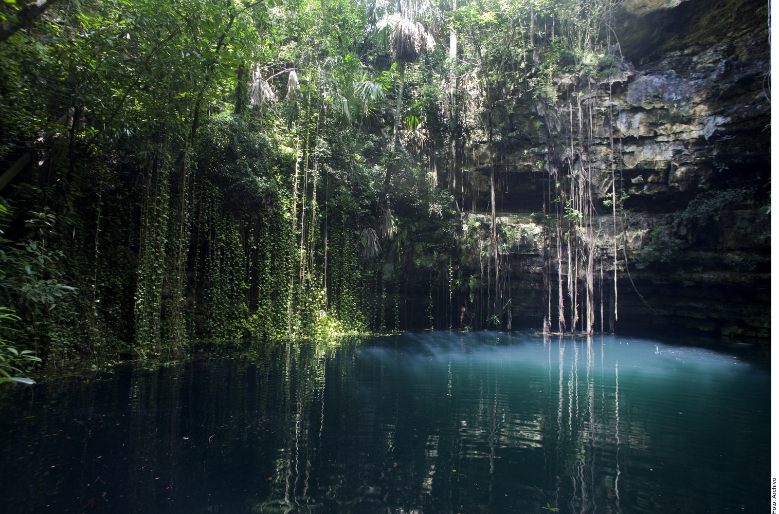 Ven Da O A Cenotes Por Granjas Porcinas Luces Del Siglo