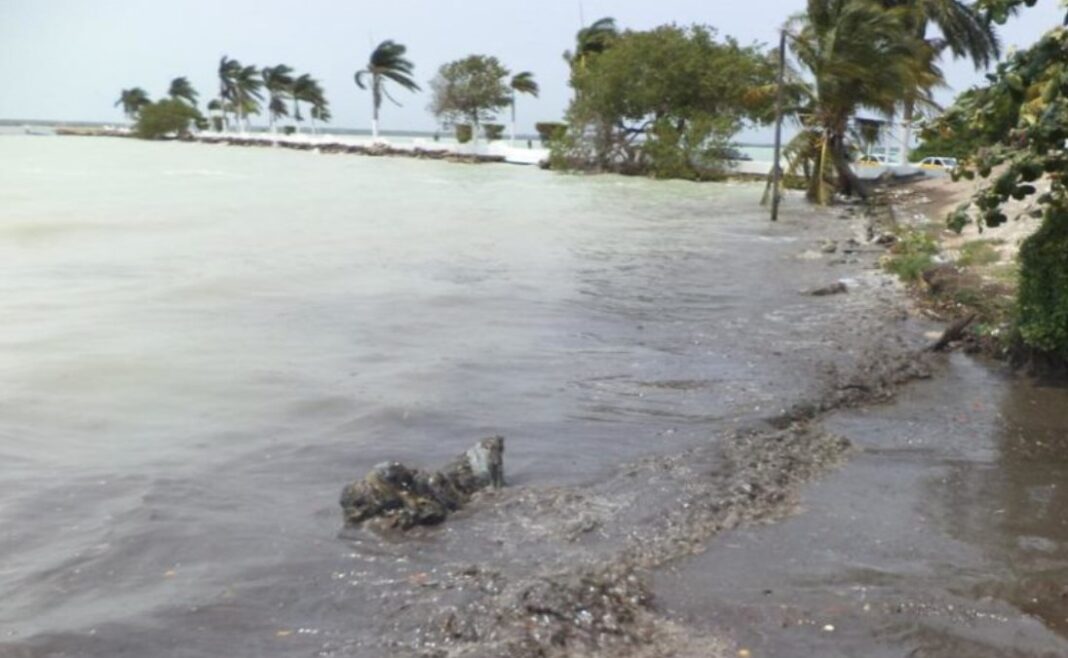 Piden Cuidar Descarga De Aguas Negras En Bah A De Chetumal Luces Del