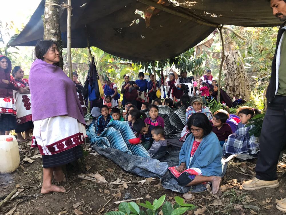 Alcanz Violencia Niveles Hist Ricos En Chiapas Colectiva Luces