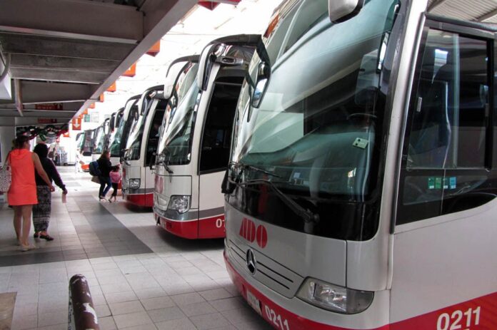 Crece movilización de autobuses de pasajeros