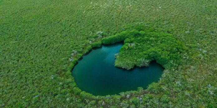 Buscan educar en Quintana Roo sobre agua y clima