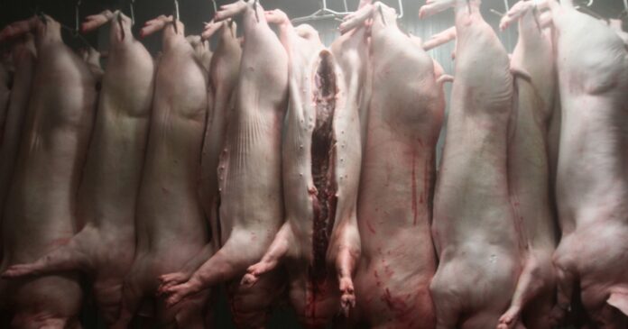 Alertan riesgos en carne de Brasil