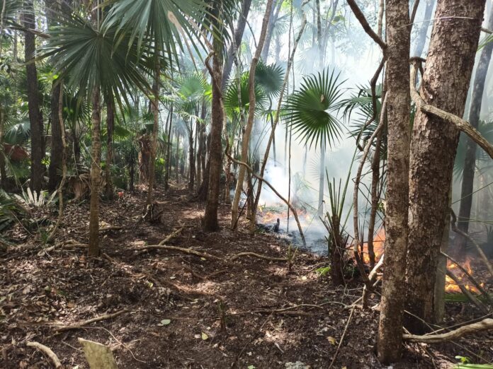 Incendios forestales no son provocados