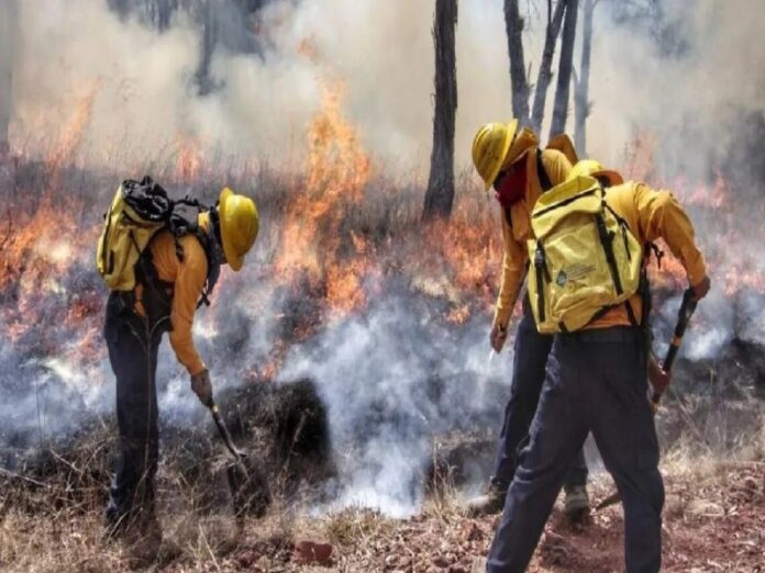 Combaten 10 incendios forestales en Veracruz