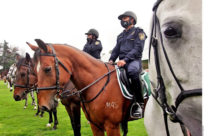 Destacan importancia de Policía Montada en SSC