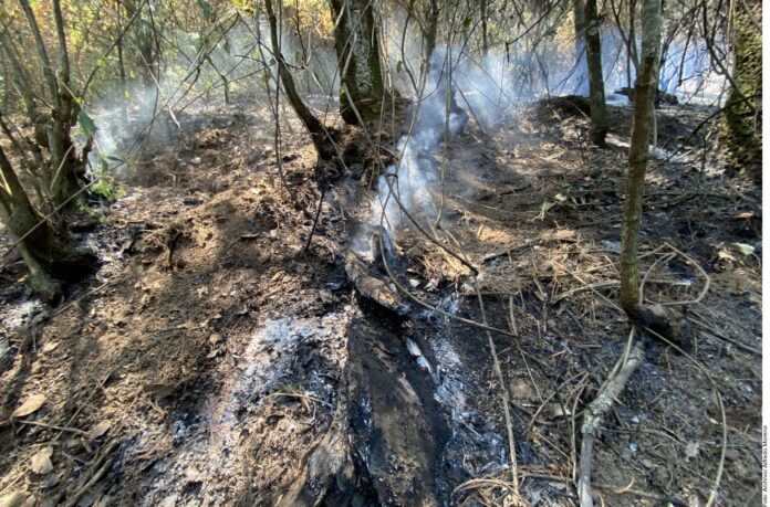 Imponen otro récord incendios forestales