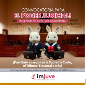 Cuestionan campaña de elección judicial con ‘ternurines’