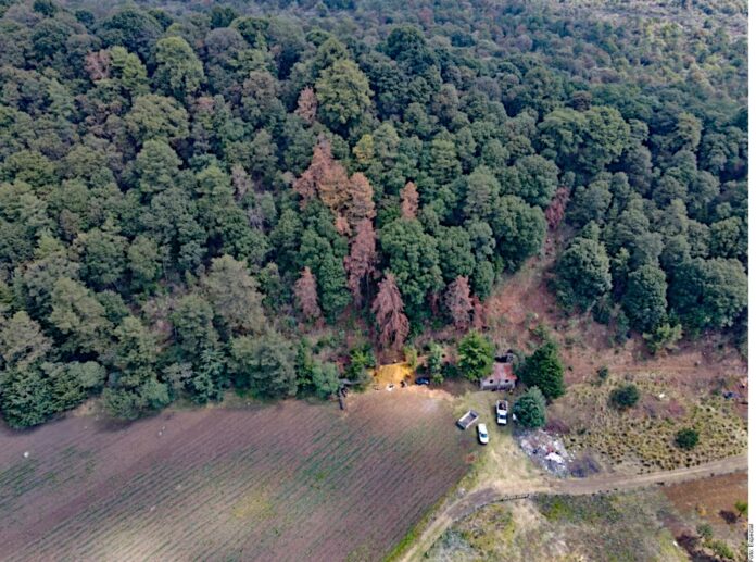 Urgen priorizar Áreas Naturales en CDMX