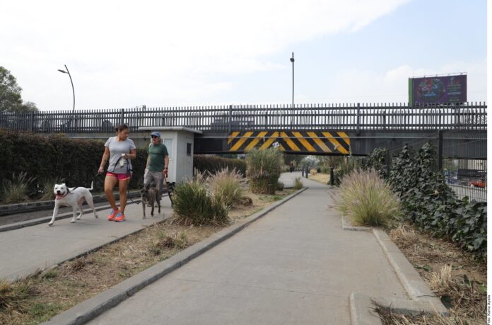 Salvan, poco a poco, el Parque Ecoducto en la CDMX