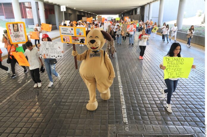 Urgen a apretar leyes contra maltrato animal