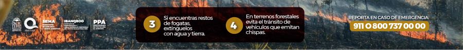 BANNERS INCENDIOS6 900X99