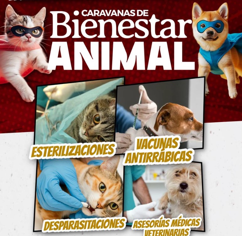 Anuncian caravana móvil de bienestar animal en Cancún - Luces del Siglo