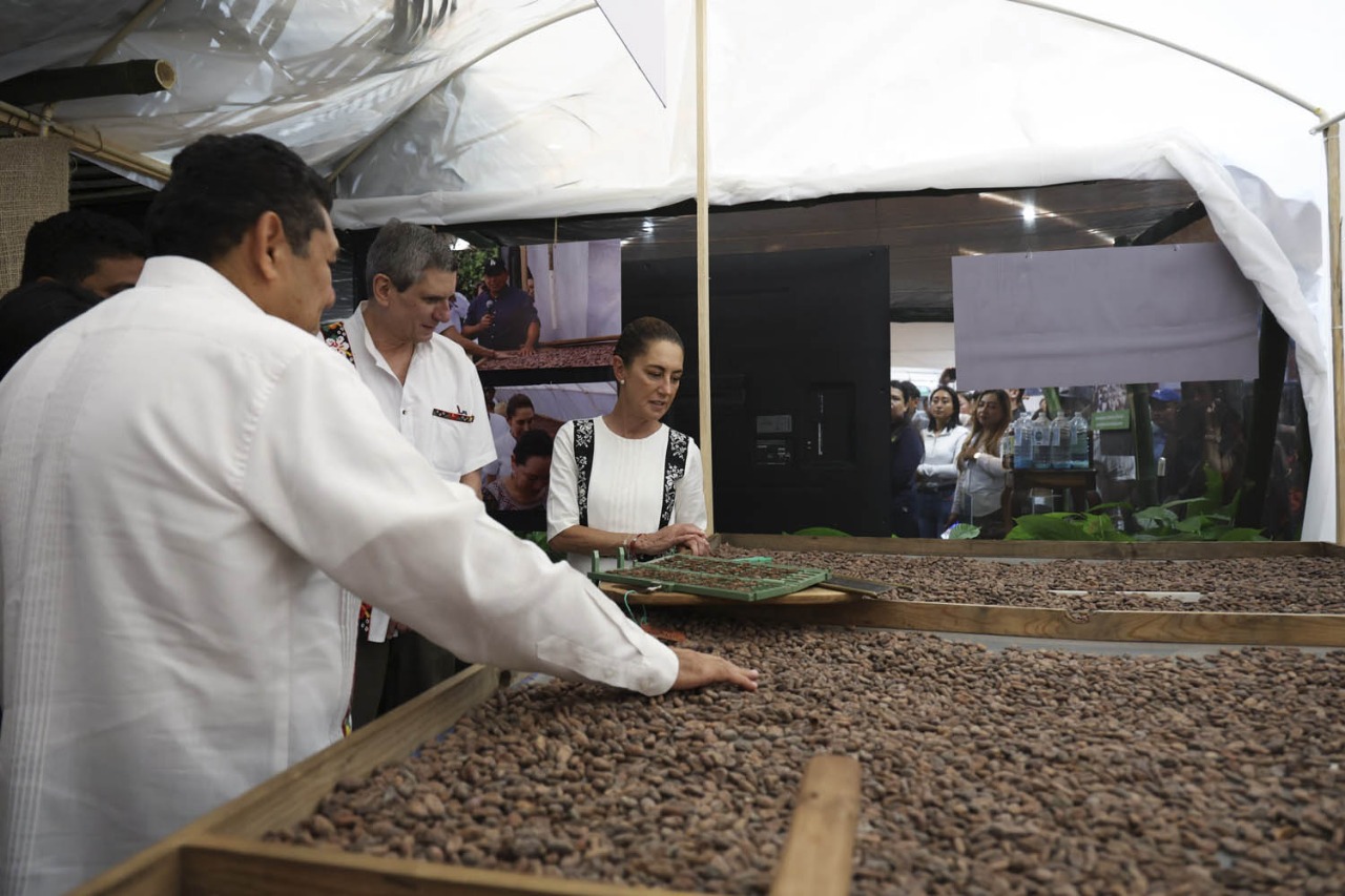 chocolate bienestar nueva fabrica en comalcalco1