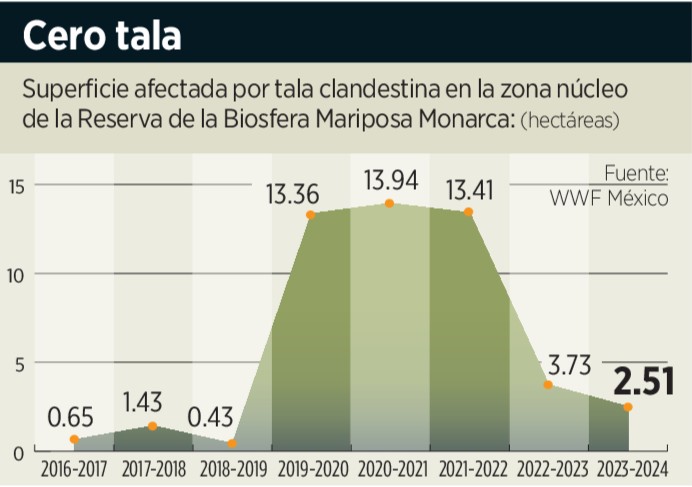 Recobran hábitat para la Monarca 1 Recobran habitat para la Monar 227925