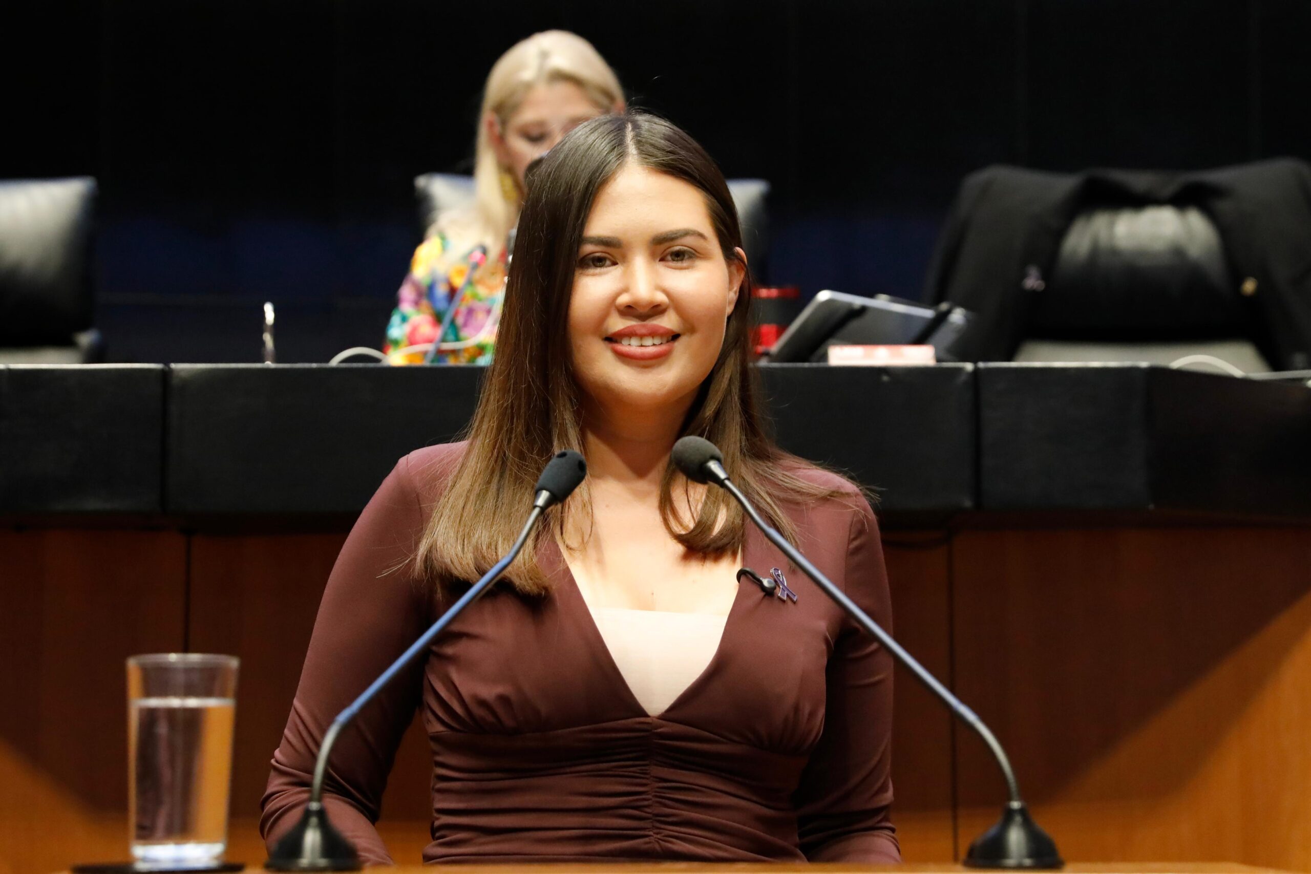 armonizan en senado leyes de igualdad de genero scaled