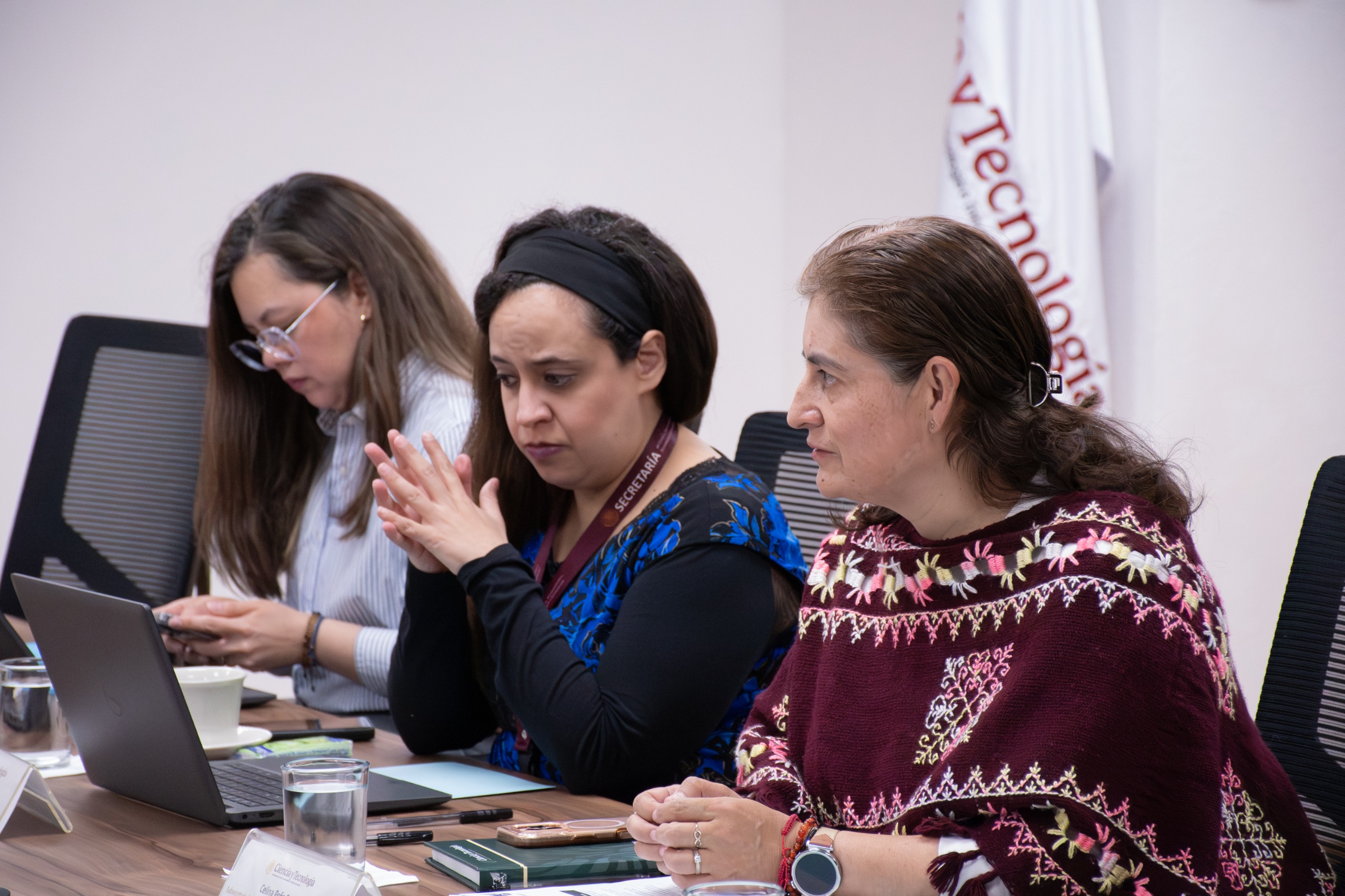 cientificos plantean 198 usos del sargazo para industria nacional 1