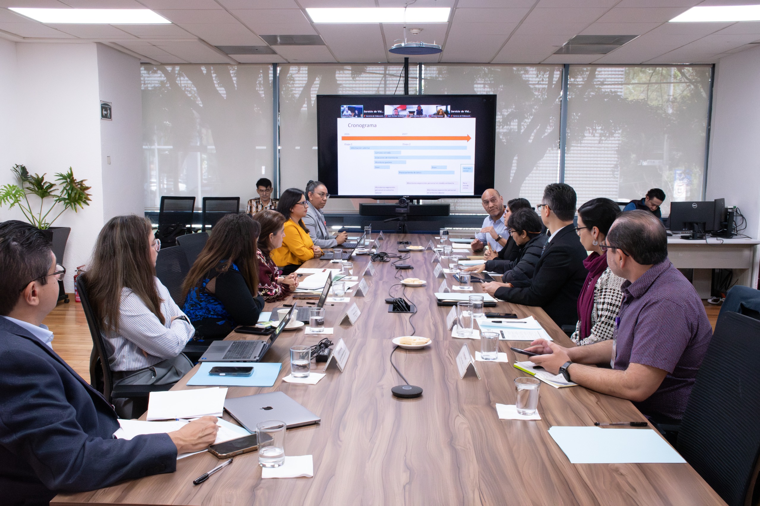 cientificos plantean 198 usos del sargazo para industria nacional 2