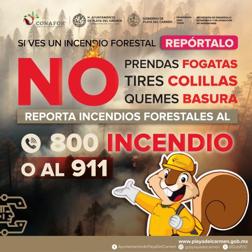 Incendios Forestales-WEB-CUADRADO Incendios Forestales WEB CUADRADO