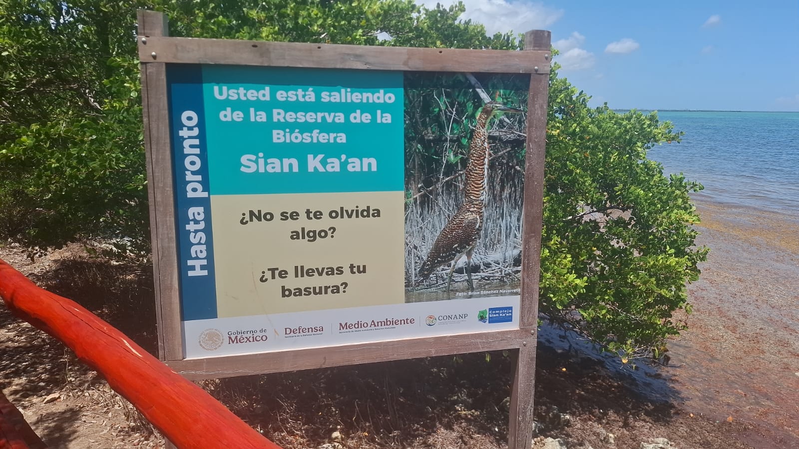 exhibe puerta al mar incierto horizonte de prosperidad maya1