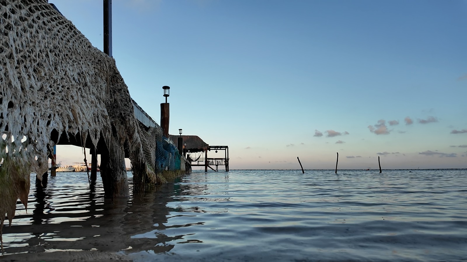 el dilema de mahahual crecer o desaparecer1