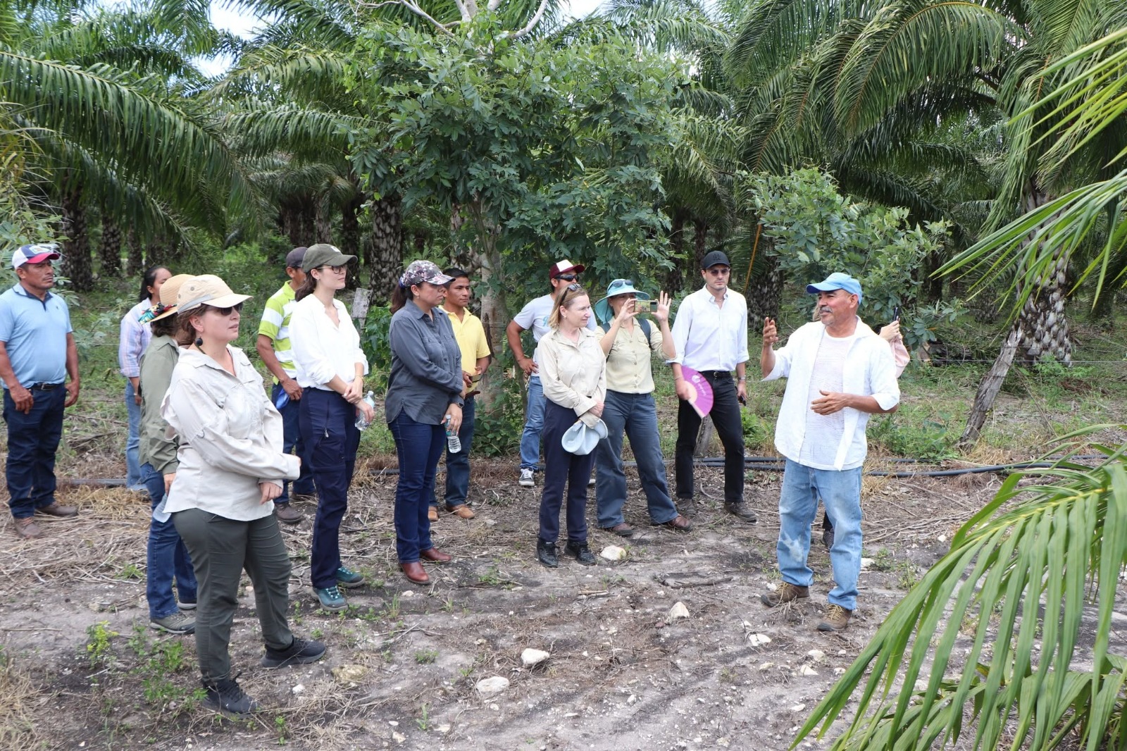 impulsan inclusion de mujeres en desarrollo agroforestal1