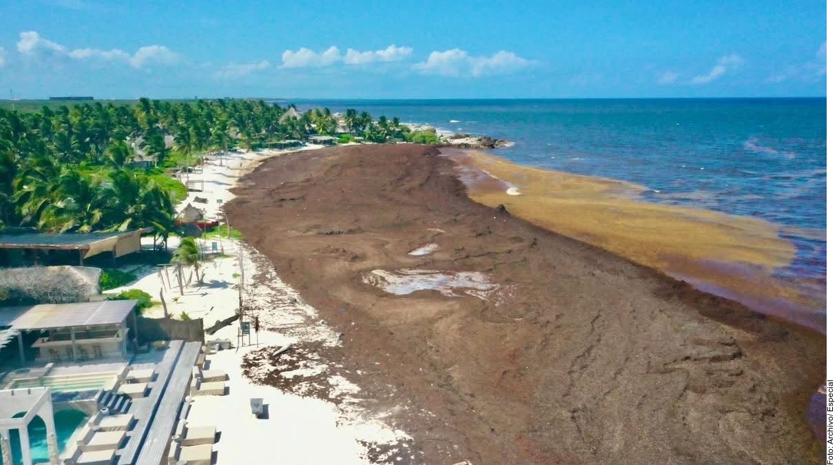 Agentes de viajes redirigen turistas a playas del Pacífico ante avance del sargazo en el Caribe