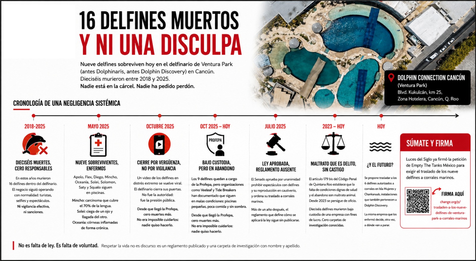 16 delfines muertos y ni una disculpa