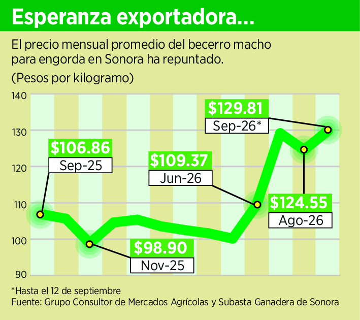 Encarecen 19 reses ante apert 237733