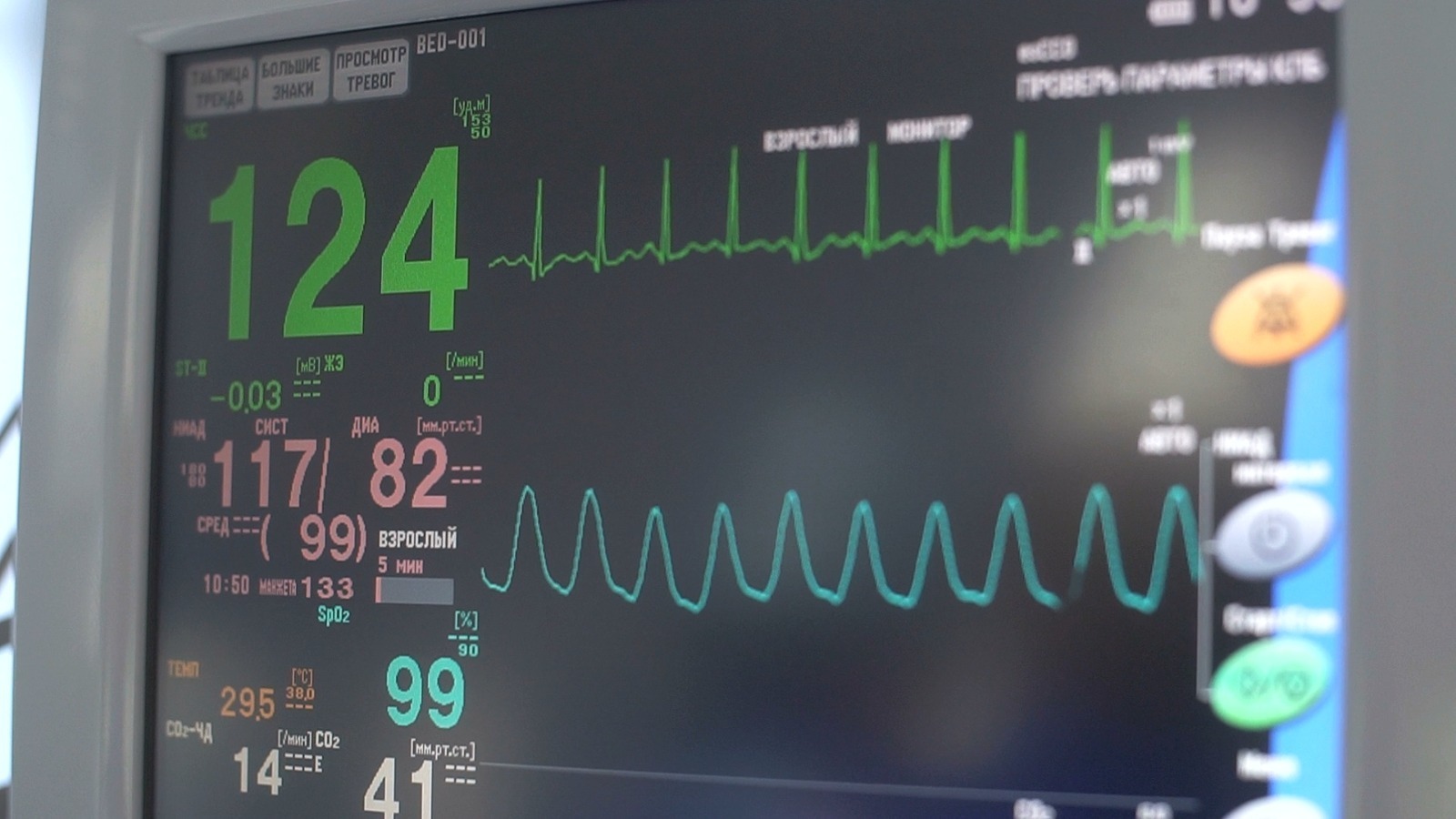 los cuidados del corazon lo vital de la prevencion para salvar la vida2