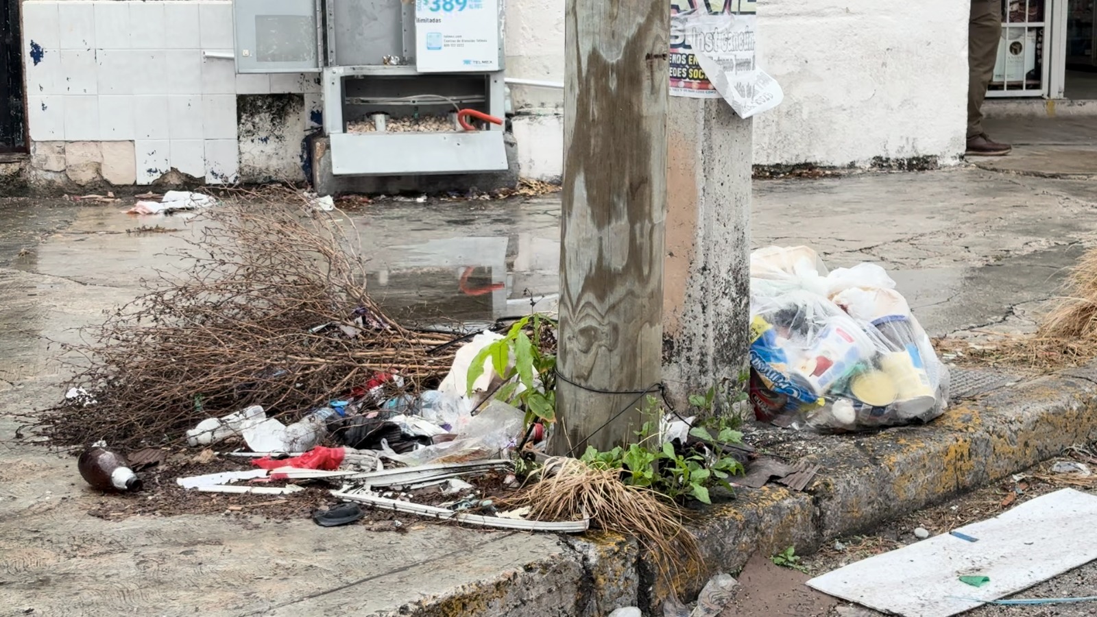 la basura problema eterno en cancun1